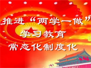 推進“兩學一做”學習教育常态化制度化